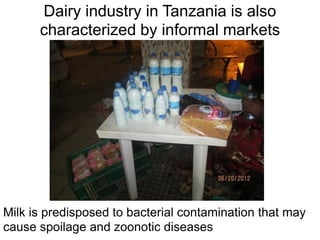 Determination of risk factors contributing to microbial contamination in milk and identification of presence of selected pathogenic bacteria along dairy value chain in Tanga