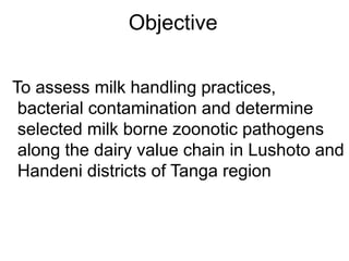 Determination of risk factors contributing to microbial contamination in milk and identification of presence of selected pathogenic bacteria along dairy value chain in Tanga
