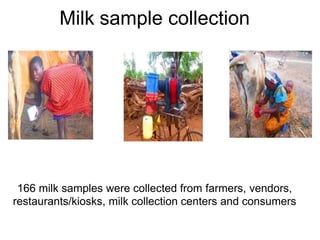 Determination of risk factors contributing to microbial contamination in milk and identification of presence of selected pathogenic bacteria along dairy value chain in Tanga
