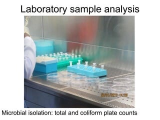 Determination of risk factors contributing to microbial contamination in milk and identification of presence of selected pathogenic bacteria along dairy value chain in Tanga