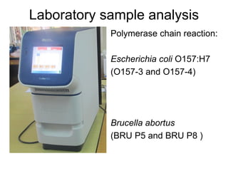 Determination of risk factors contributing to microbial contamination in milk and identification of presence of selected pathogenic bacteria along dairy value chain in Tanga