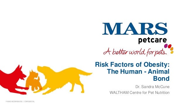 risk factors of pet obesity the human animal bond human animal bond