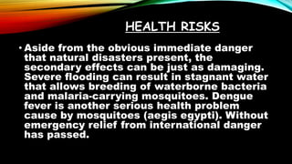 RISK FACTORS UNDERLYING DISASTER.pptx
