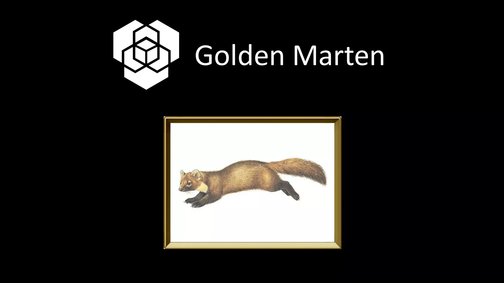 Golden Marten
 