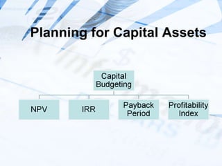 Risk In Capital Budgeting | PPT