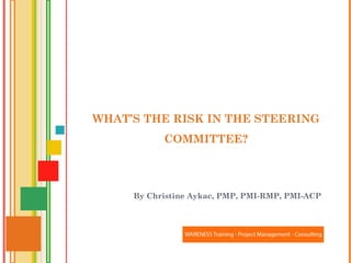 WHAT’S THE RISK IN THE STEERING
COMMITTEE?
By Christine Aykac, PMP, PMI-RMP, PMI-ACP
 