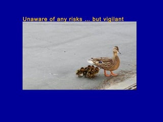 Unaware of any risks … but vigilant
 