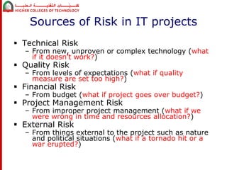 Project Management Risk Budget Resources Project Risk Management | PPTX