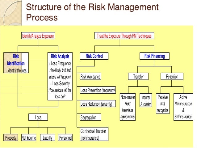 risk management for health care organization essay organization of an essay