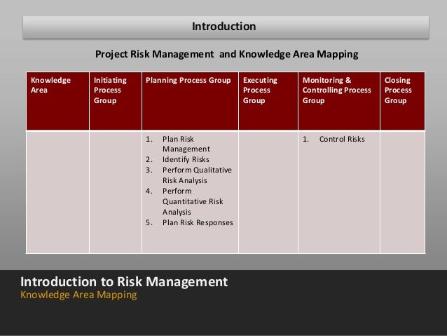 Risk management plan assignment purpose