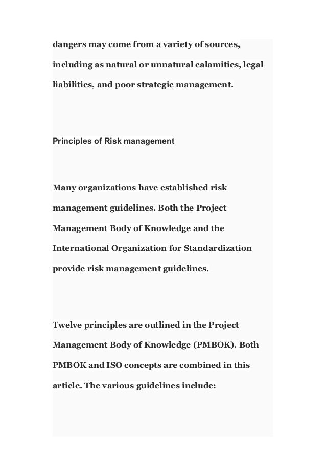 Risk Management Assignment | PDF