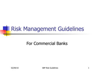Risk Management Guidelines For Commercial Banks 