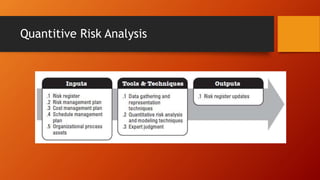 Risk Management | PPTX