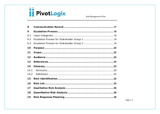 pmp risk management plan template