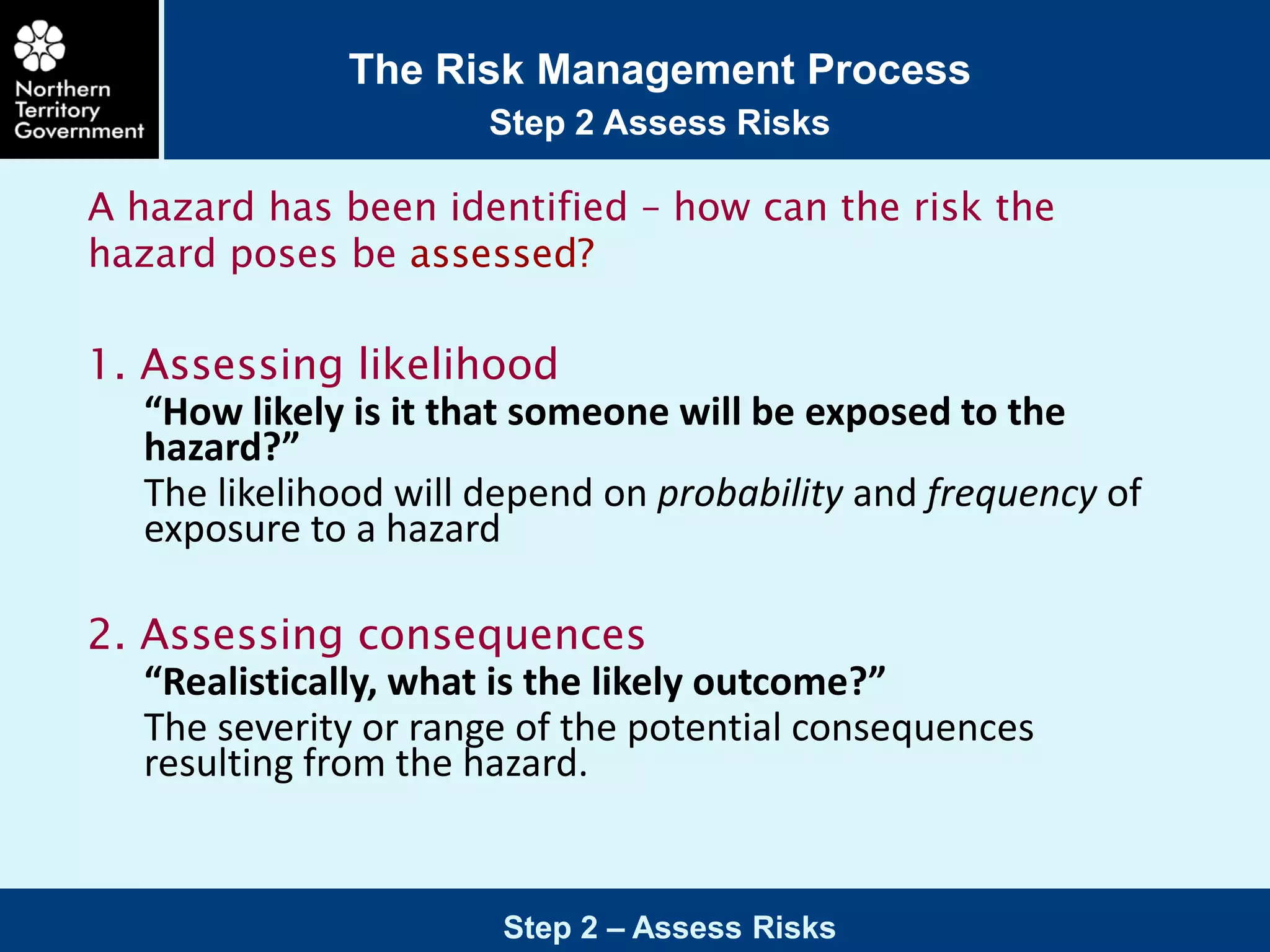 Risk management process | PDF