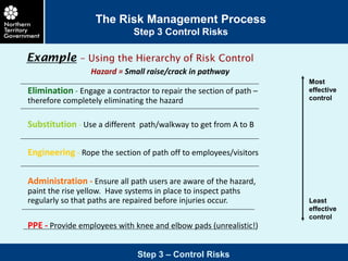 Risk management process