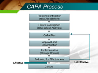 Capa Risk Matrix Capa Risk Management Training | PPTX