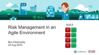 Risk Management in an
Agile Environment
Ben Hörömpöly
24 Aug 2016
R
I
S
K
M
G
M
T
AGILE
 