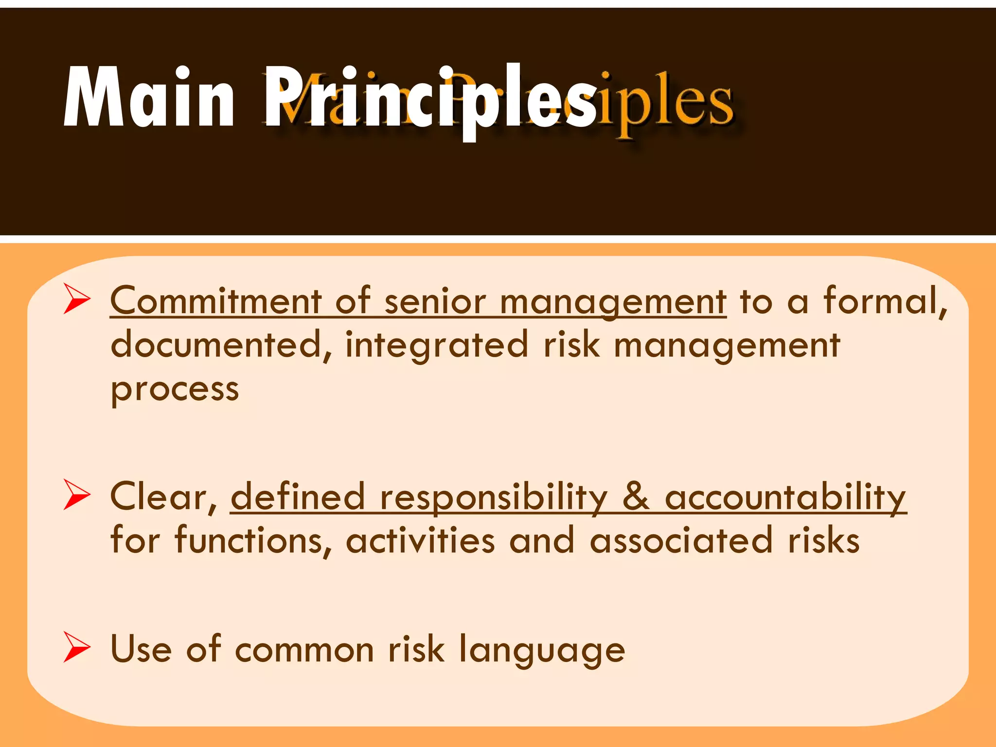 Main Principles   Commitment of senior management  to a formal, documented, integrated risk management process Clear,  defined responsibility & accountability  for functions, activities and associated risks Use of common risk language 