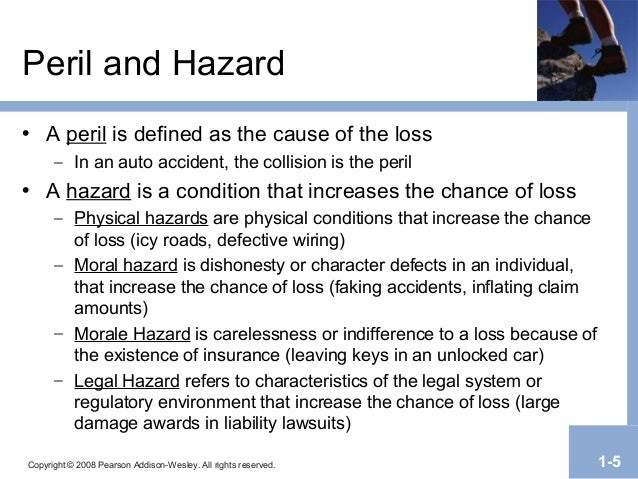 Risk mgt1