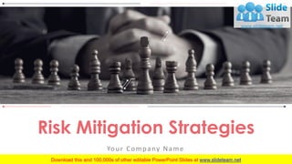 Risk Mitigation Strategies
Your Company Name
 