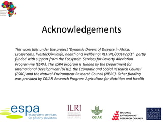 Comparing the risk of mosquito-borne infections in humans in irrigated and non-irrigated sites in Kenya
