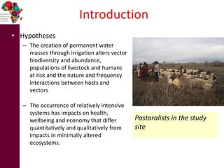 Comparing the risk of mosquito-borne infections in humans in irrigated and non-irrigated sites in Kenya