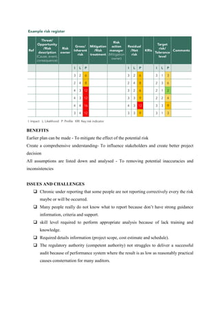 Risk management paper | PDF