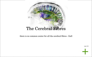 the politics of observation