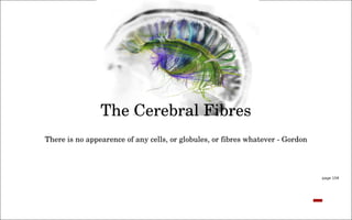 the politics of observation