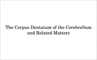 the politics of observation