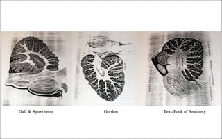 the politics of observation