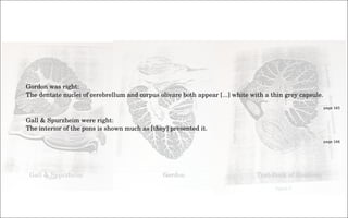 the politics of observation