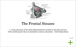 the politics of observation