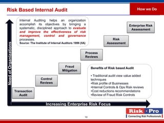 Control Risks Auditing Riskpro brief introduction | PDF