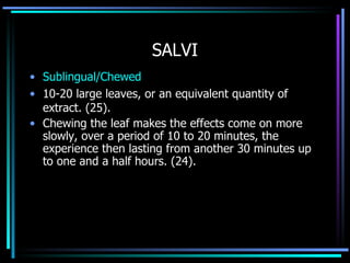 SALVI Sublingual/Chewed   10-20 large leaves, or an equivalent quantity of extract. (25). Chewing the leaf makes the effects come on more slowly, over a period of 10 to 20 minutes, the experience then lasting from another 30 minutes up to one and a half hours. (24). 