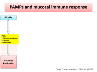 PAMPs and mucosal immune response
PAMPs
PRRs:
• Plasma membrane
• Cytosol
• Endosome
Cytokine
Production
Trevor T Hansel, ...