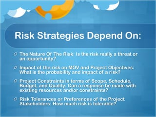 Risk strategies presentation | PPT