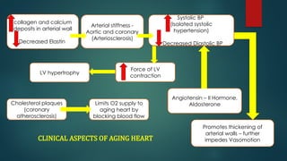 Risk stratification and risk factor modification.pptx | Free Download