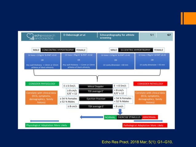Risk stratification to prevent SCD in young athletes | PPT