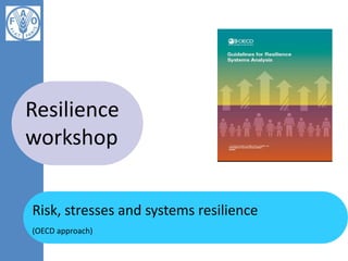 Risk, stresses and systems resilience
(OECD approach)
Resilience
workshop
 