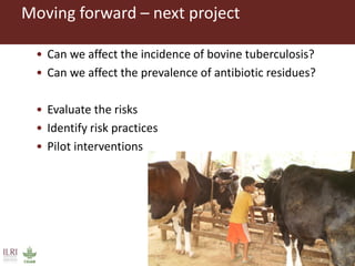 Risks with urban and peri-urban milk production in India