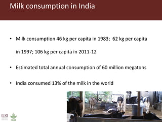 Risks with urban and peri-urban milk production in India