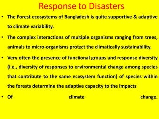 Response to Disasters
• The Forest ecosystems of Bangladesh is quite supportive & adaptive
to climate variability.
• The complex interactions of multiple organisms ranging from trees,
animals to micro-organisms protect the climatically sustainability.
• Very often the presence of functional groups and response diversity
(i.e., diversity of responses to environmental change among species
that contribute to the same ecosystem function) of species within
the forests determine the adaptive capacity to the impacts
• Of climate change.
 