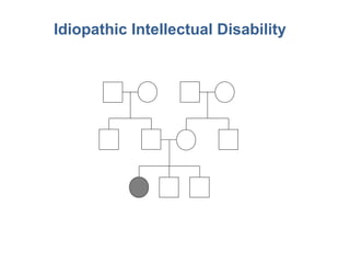 Idiopathic Intellectual Disability
 