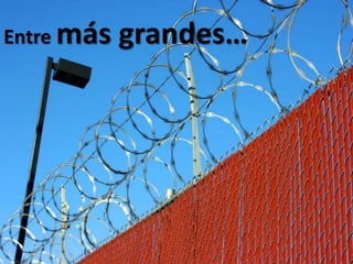 Entre más grandes…