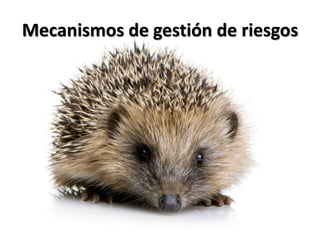Mecanismos de gestión de riesgos