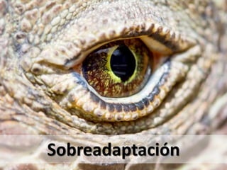Sobreadaptación