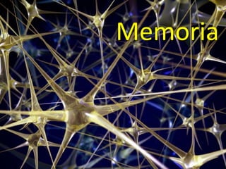 Memoria