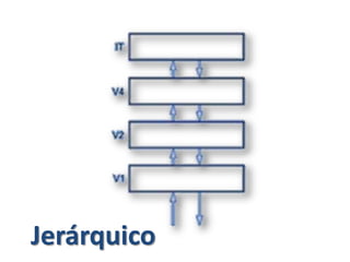 Jerárquico
